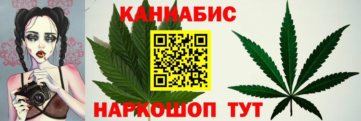 МАРИХУАНА сатива Зерноград